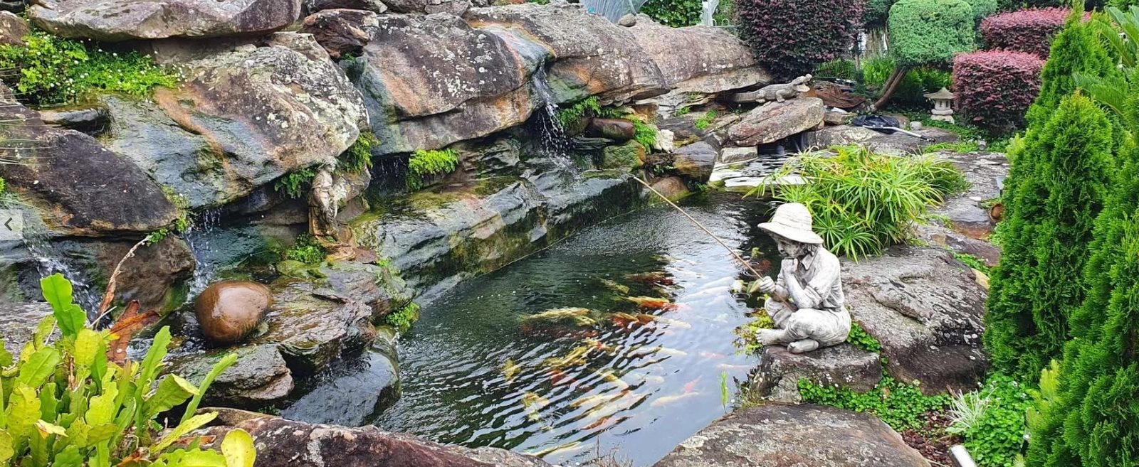 Koi pond with waterfall